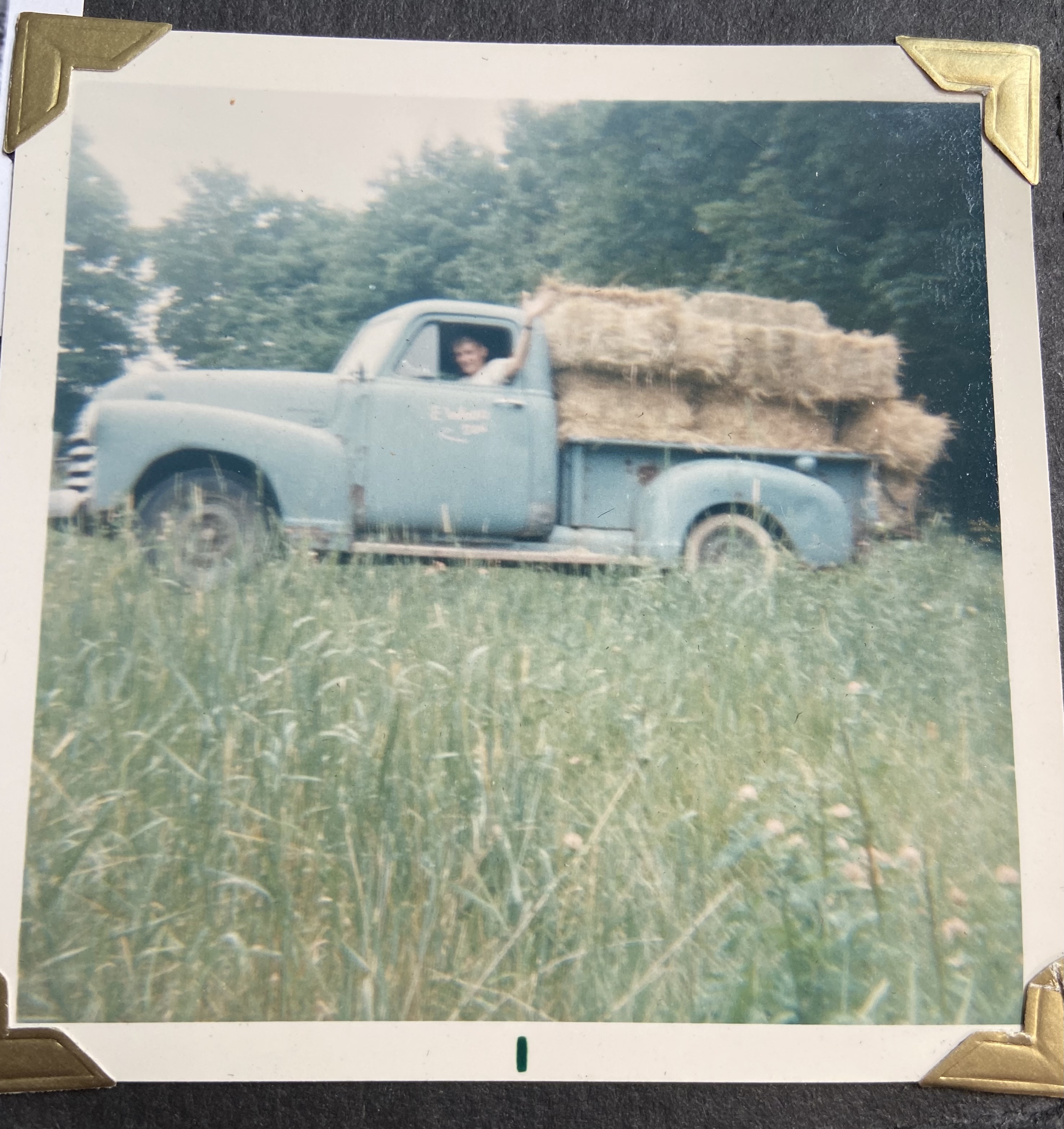 Gary on the Farm