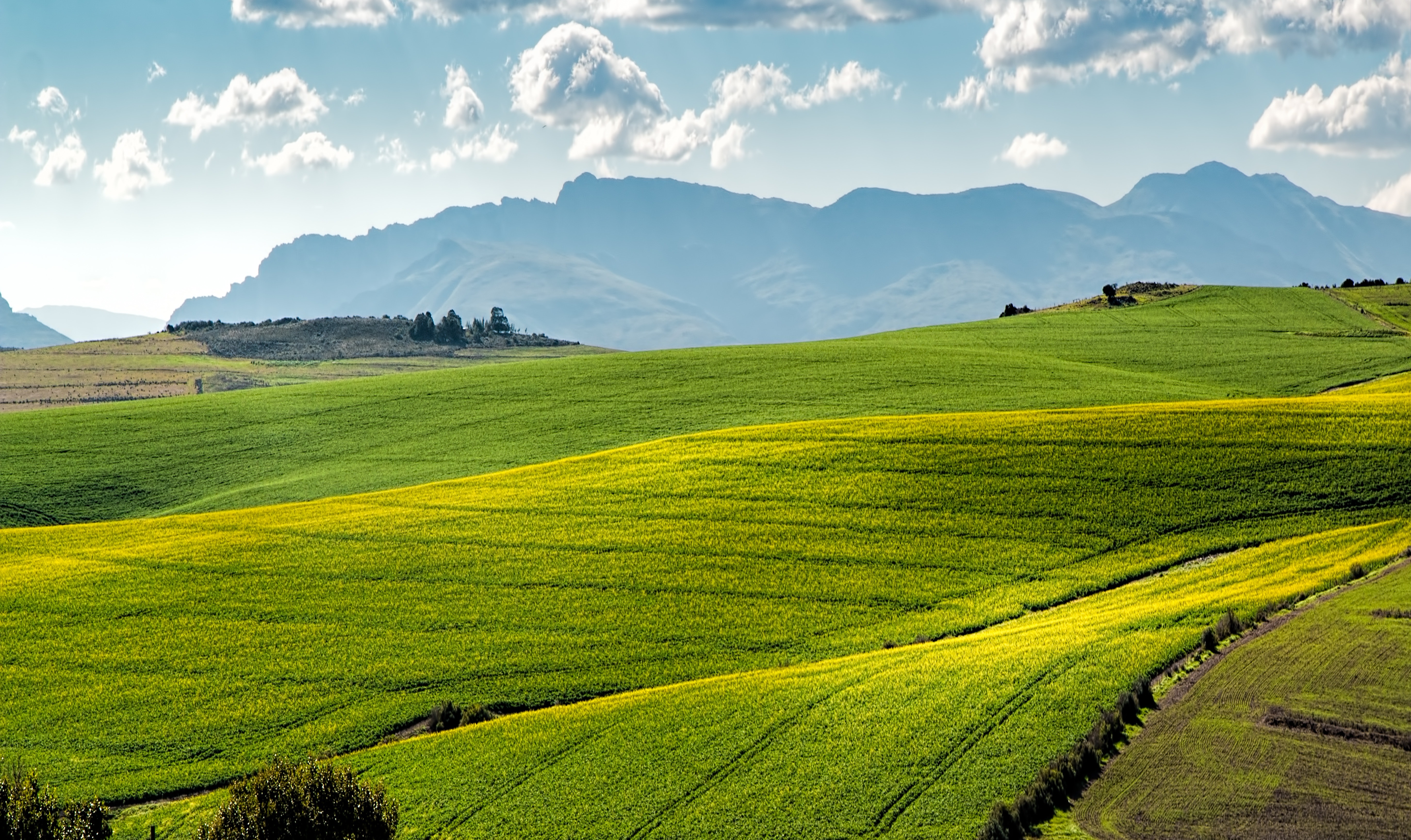 Rolling Fields with Mountains Beyond