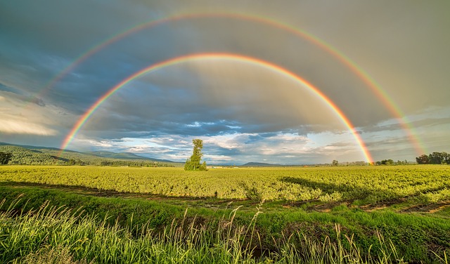 Hope 