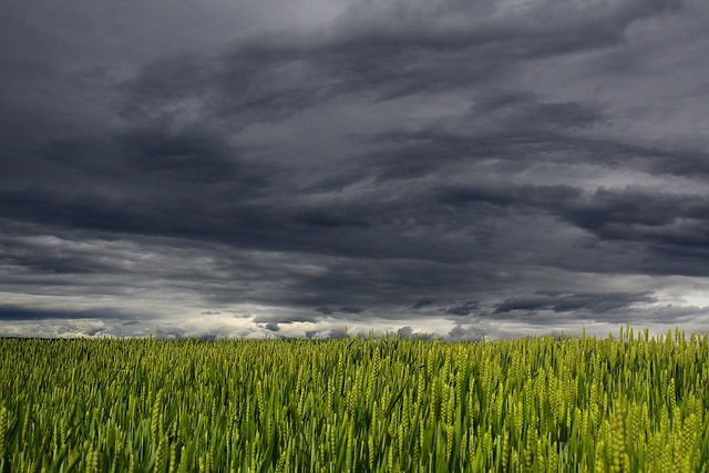 Storm clouds