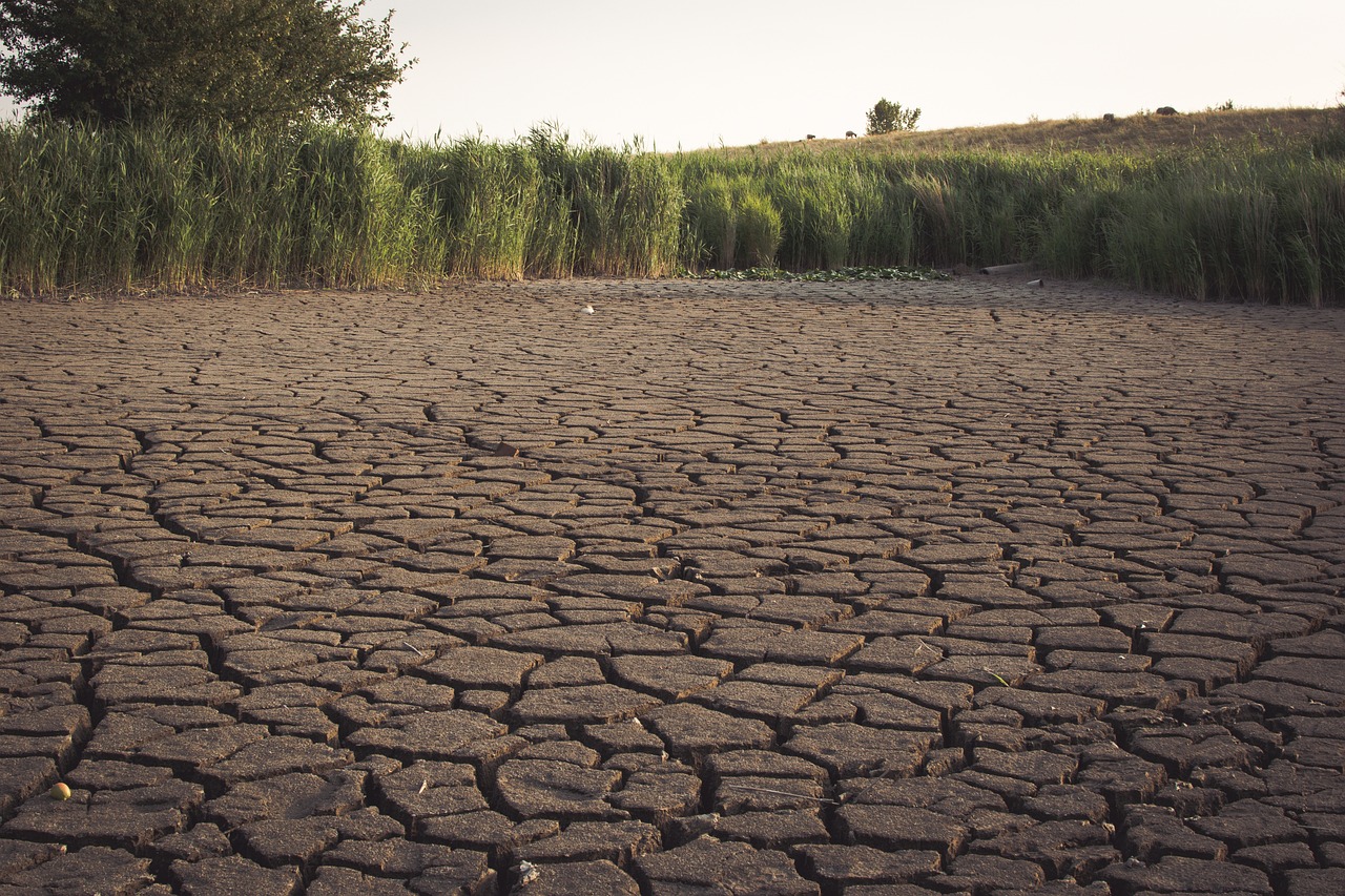 Dried up lake - Not enough
