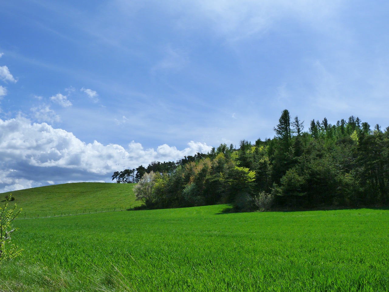 Green Hills for Quietness